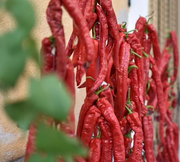 Foto von Peperone Crusco (Knusprige Paprika aus der Basilikata) – fertig angerichtet