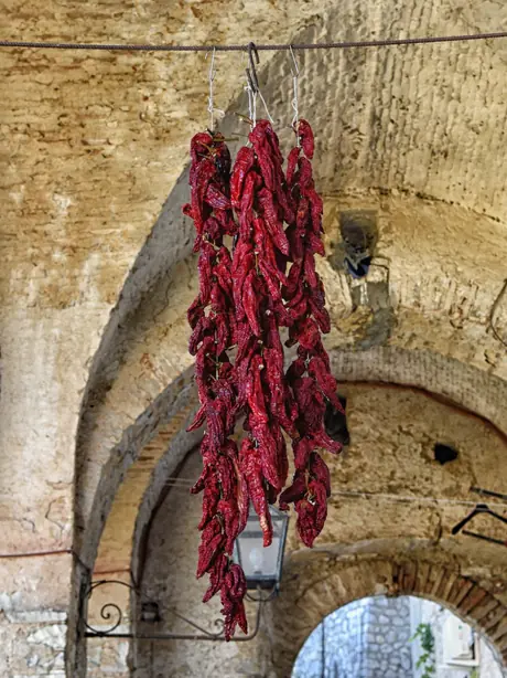 Cook Snap von kochcode-import