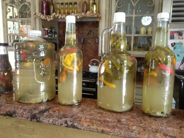 Cook Snap von kochcode-import