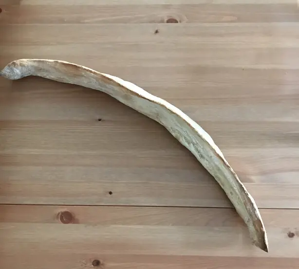 Foto von Shotis Puri (Georgisches Kanubrot) – fertig angerichtet