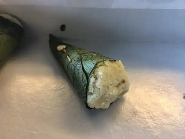 Foto von Singori (Süßspeise aus Uttarakhand) – fertig angerichtet