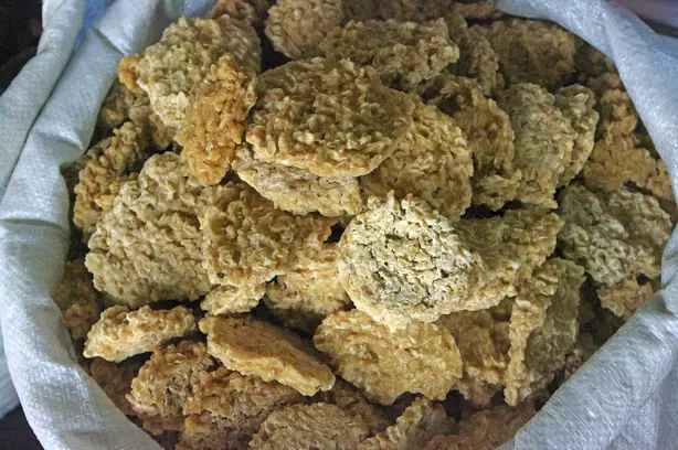 Foto von Tarhana-Suppe (Tarhana Çorbası) – fertig angerichtet