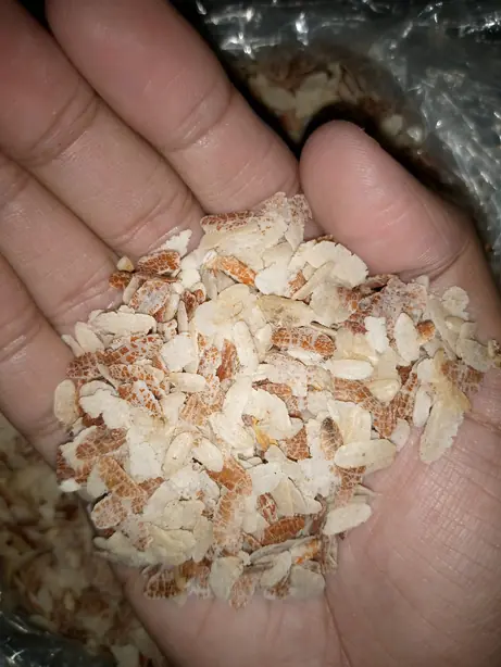 Foto von Til Pitha – fertig angerichtet