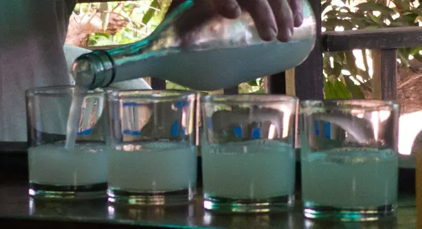 Foto von Tuhak (Philippinischer Kaong-Palmwein) – fertig angerichtet