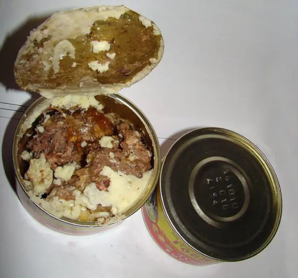 Foto von Tuschonka (Hausgemachtes eingekochtes Fleisch) – fertig angerichtet