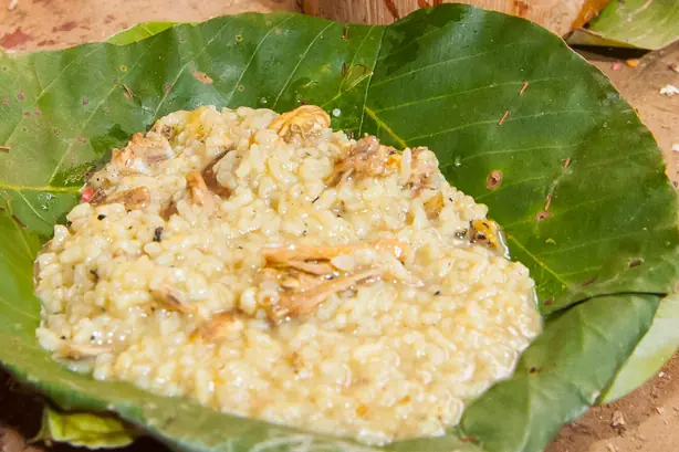 Foto von Wachipa – fertig angerichtet