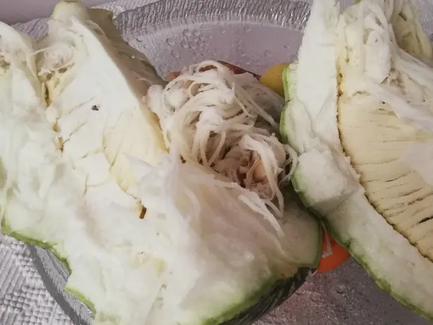 Cook Snap von kochcode-team