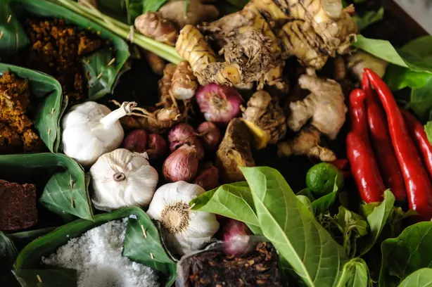 Cook Snap von kochcode-team