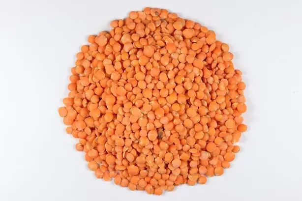 Cook Snap von kochcode-team