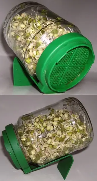 Cook Snap von kochcode-team