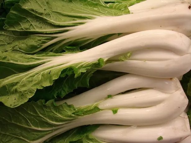 Cook Snap von kochcode-team