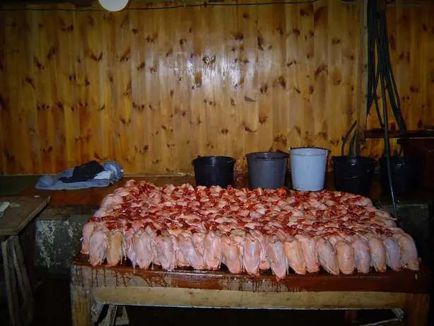 Cook Snap von kochcode-team