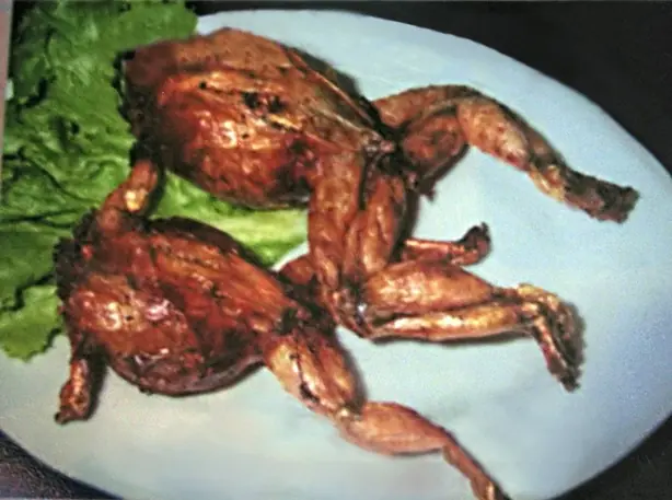 Cook Snap von kochcode-team