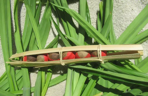 Foto von Klassische Singapur Kaya Marmelade – fertig angerichtet