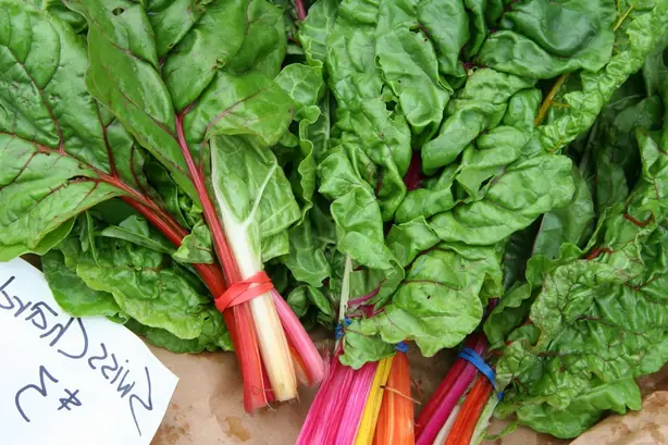 Cook Snap von kochcode-team