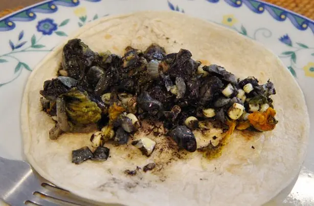 Foto von Mexikanische Cuitlacoche Quesadillas – fertig angerichtet