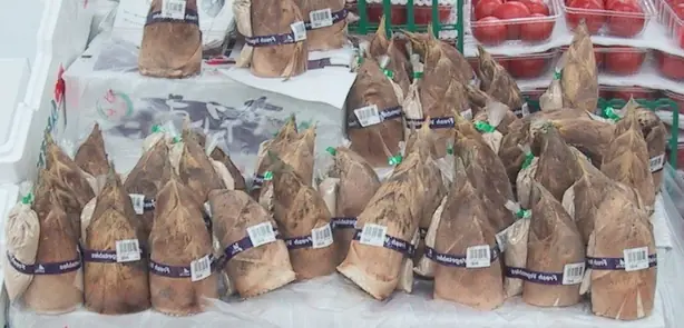 Cook Snap von kochcode-team