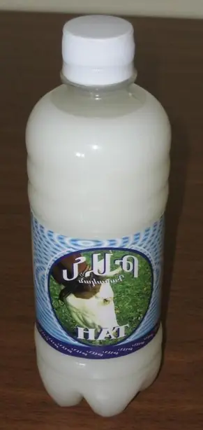 Foto von Persischer Dugh klassisch – fertig angerichtet