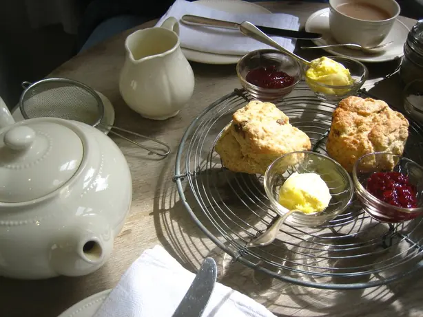 Cook Snap von kochcode-team