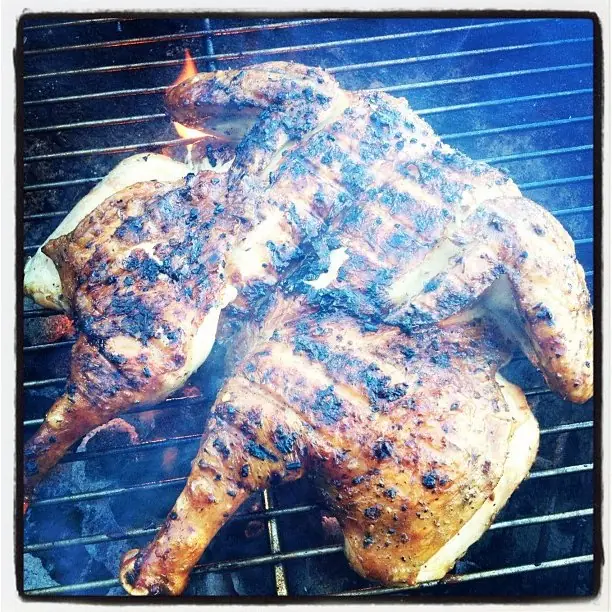 Foto von Toskanisches Pollo al Mattone – fertig angerichtet