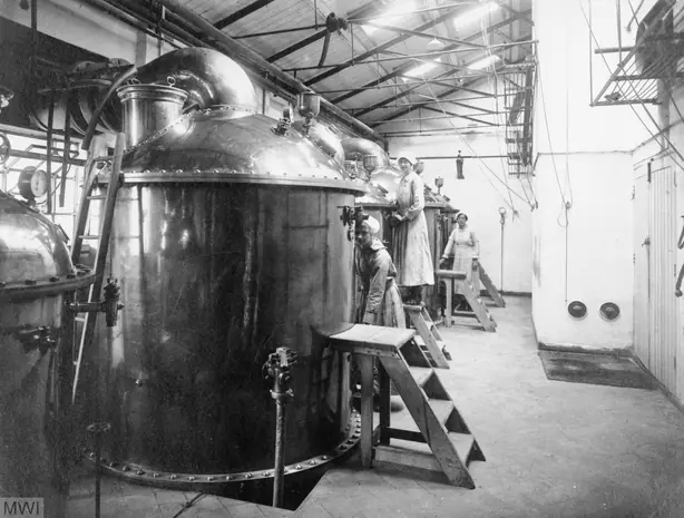 Cook Snap von kochcode-team