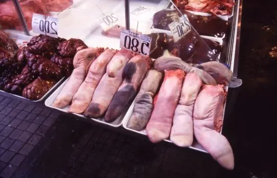 Cook Snap von kochcode-team