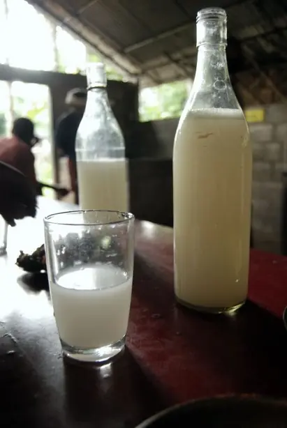 Cook Snap von kochcode-team