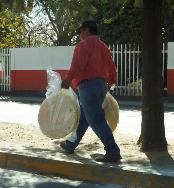 Cook Snap von kochcode-team