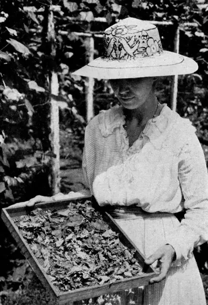 Cook Snap von kochcode-team