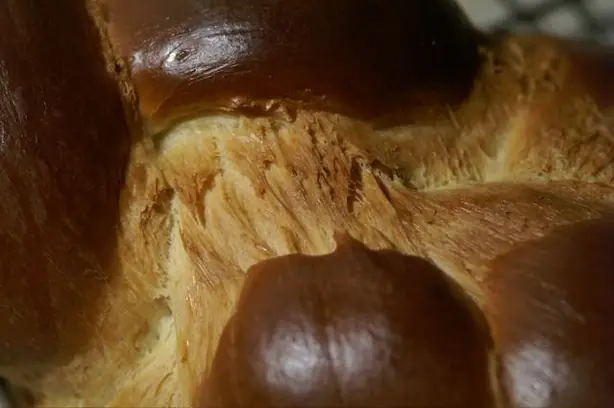 Cook Snap von kochcode-team