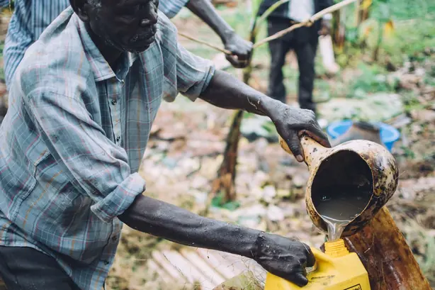 Cook Snap von kochcode-team