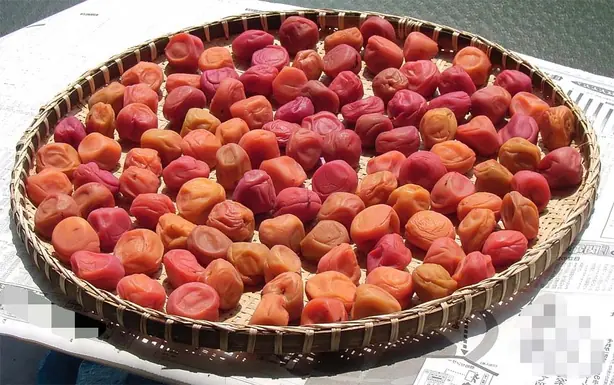 Cook Snap von kochcode-team