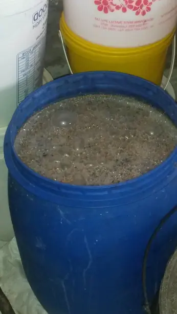 Foto von Südafrikanisches Xhosa-Bier Umqombothi – fertig angerichtet