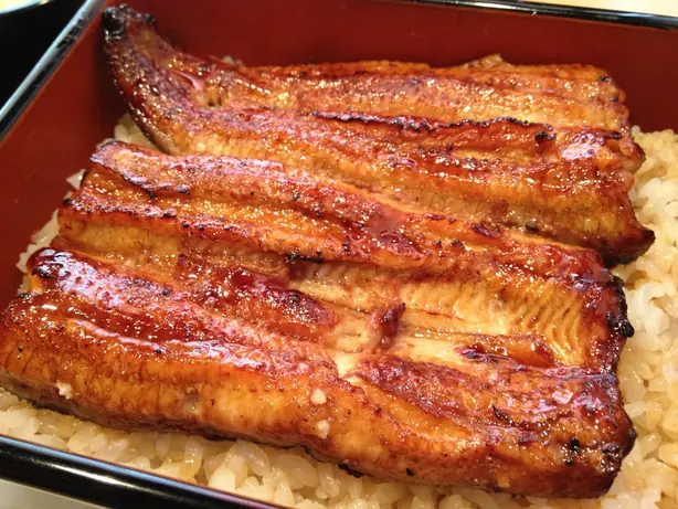 Cook Snap von kochcode-team