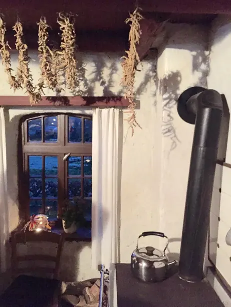 Foto von Ostfriesische Updrögt Bohnen klassisch – fertig angerichtet