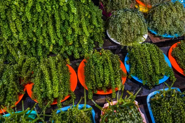 Cook Snap von kochcode-team