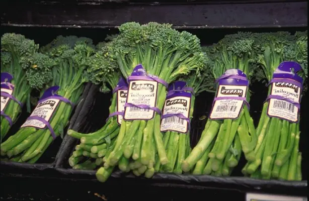 Cook Snap von kochcode-team