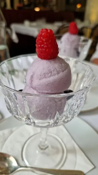 Foto von Österreichisches Veilcheneis klassisch – fertig angerichtet