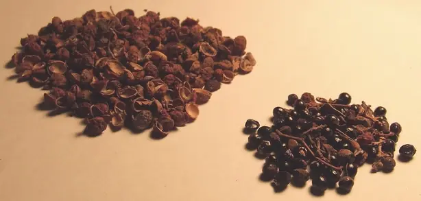 Cook Snap von kochcode-team