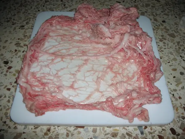 Foto von Klassischer Ukrainischer Salnyk – fertig angerichtet